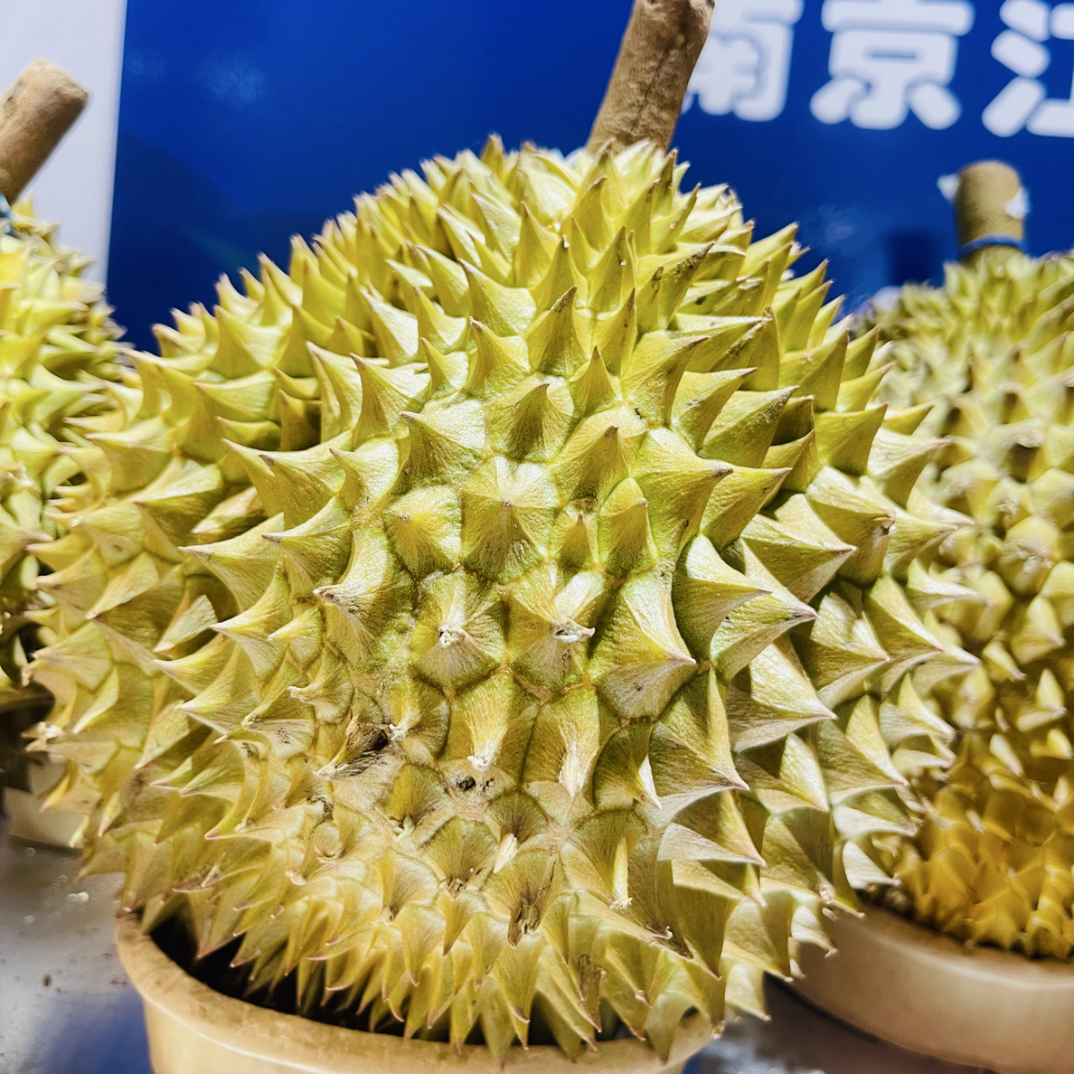 如果家甄选（泰国空运金枕鲜榴莲）【纯肉】核小500-1000g金枕泰国金枕泰国