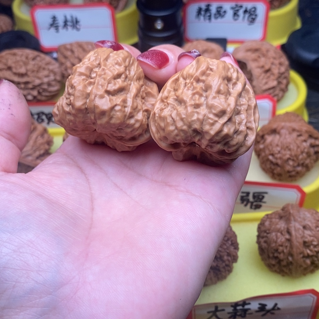 南***寻菩提籽类蛤蟆头头