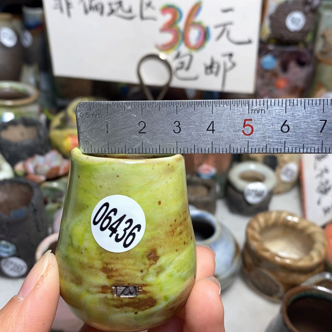 花盆拍5送一个小礼物