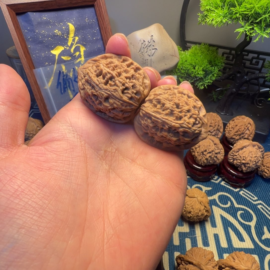 35尺全品无修水龙纹