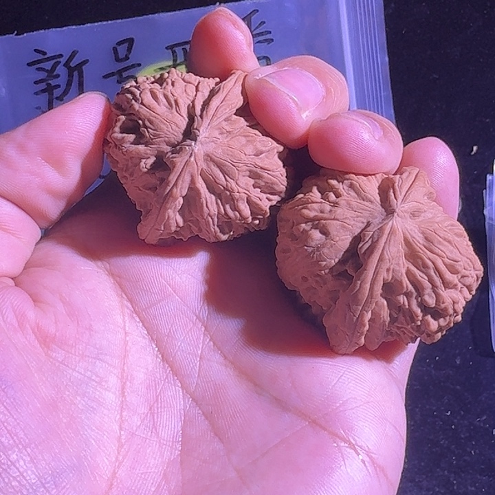 吊坠文玩核桃41尺寸的白狮子