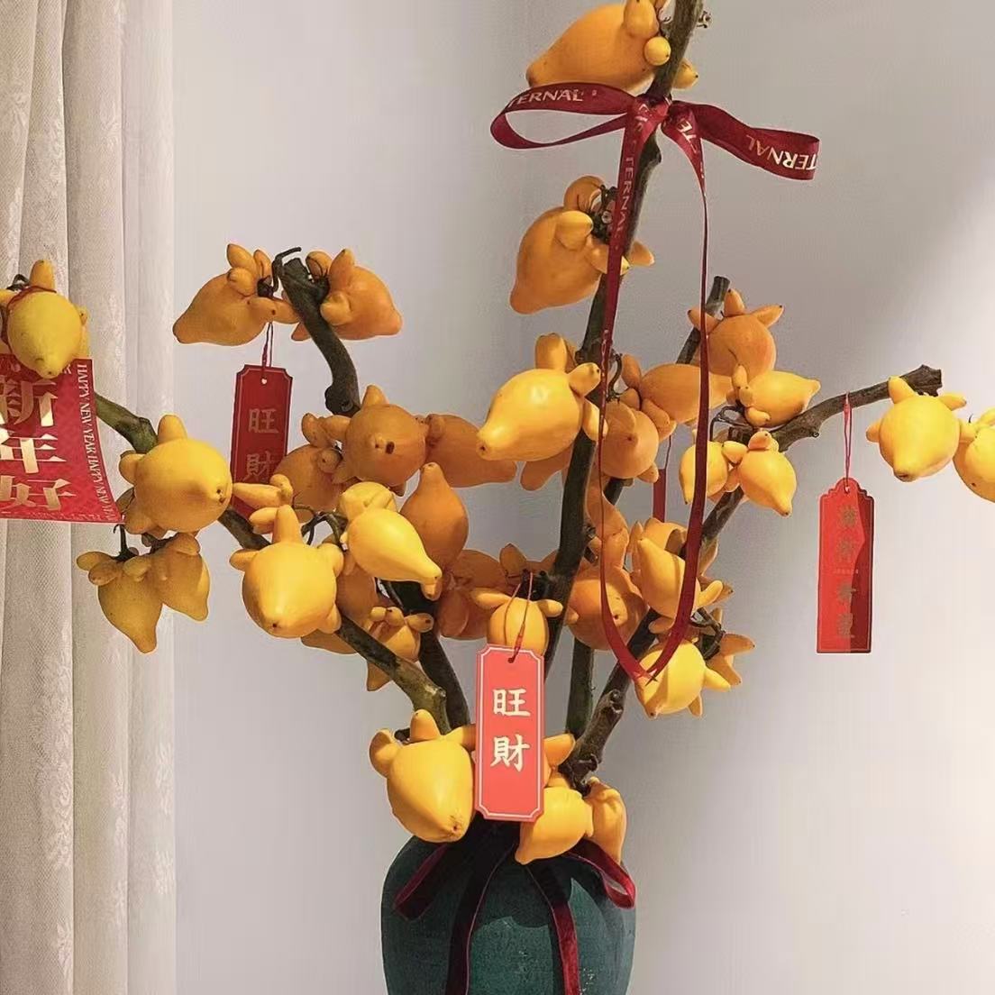 【一物一拍五代果】金玉满堂果福禄果黄金果室内摆件观赏装饰云南发