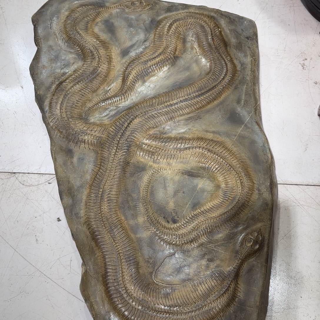 暮**地蛇龙奇石奇石上一