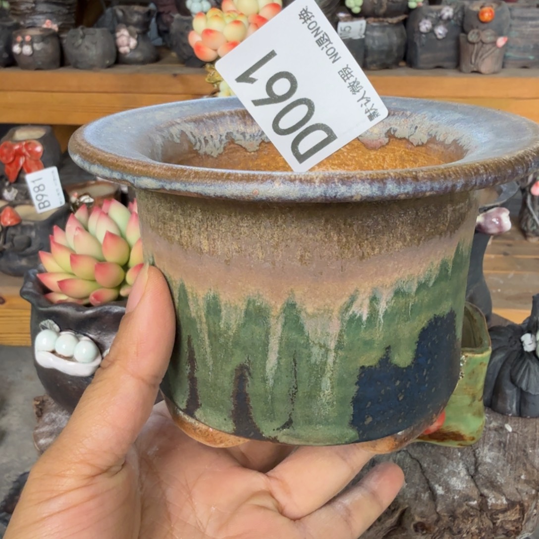 重庆小燕子欢迎大家061