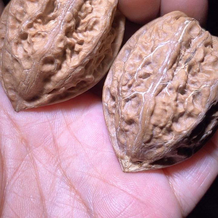 文玩核桃把件东北野生楸子小美38