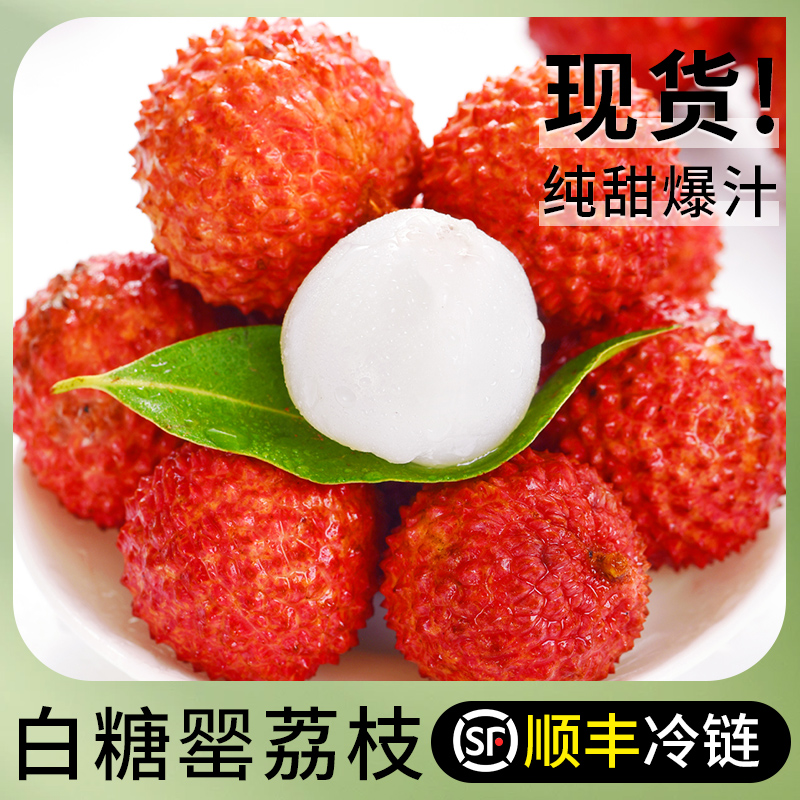 WP【京东顺丰冷链】广东白糖罂荔枝当季新鲜采摘多仓发货