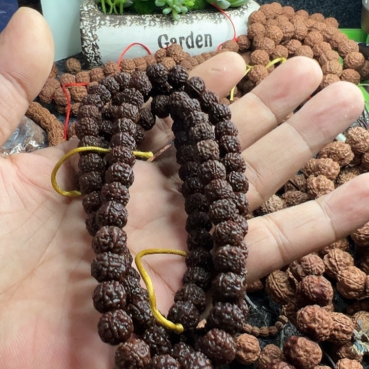 志***）手串金刚菩提麦穗龙脖挂