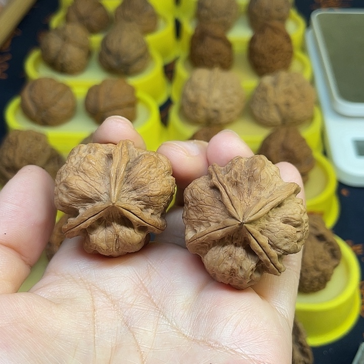 文玩核桃把件36、1314小霸王36