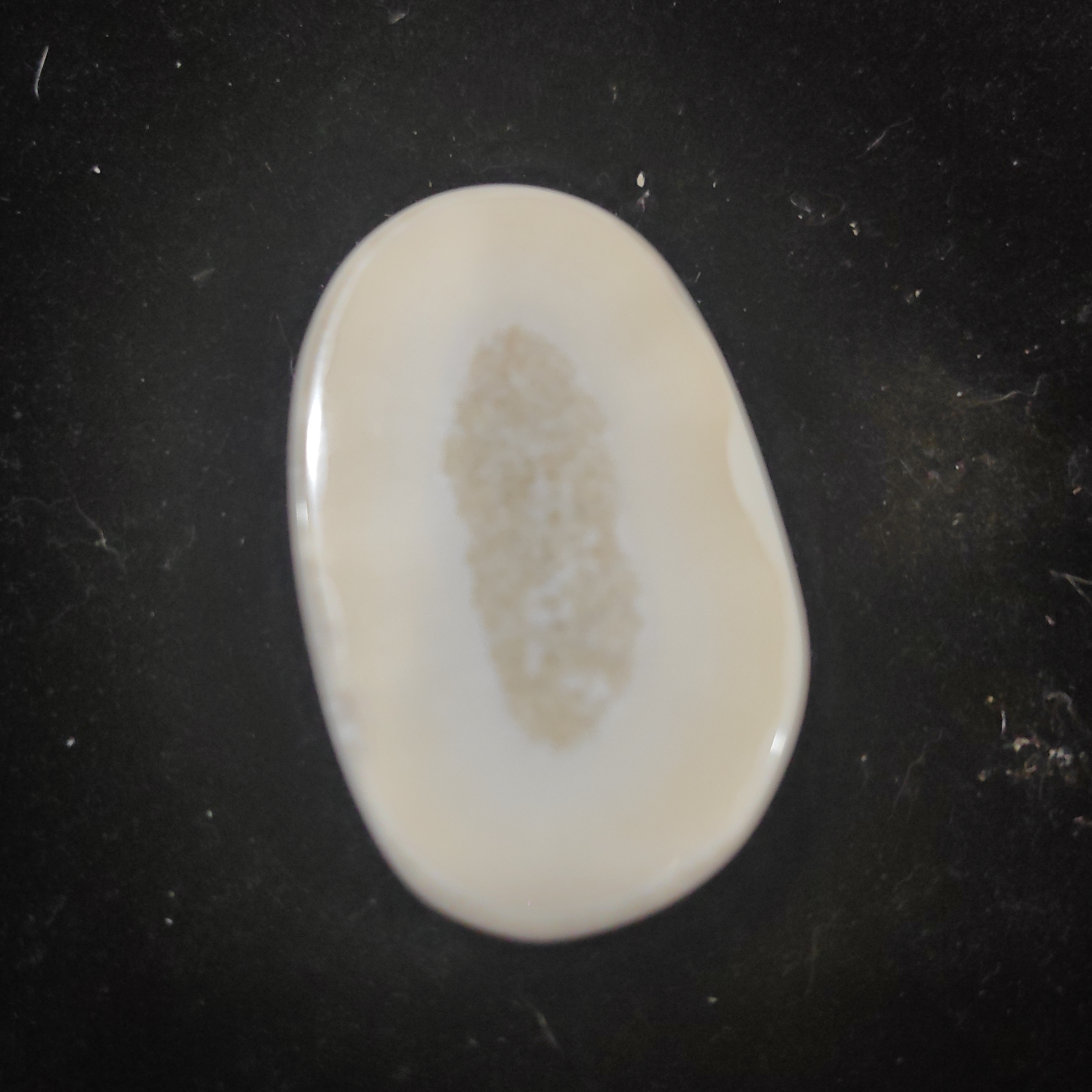 猛犸猛犸虬饼子WW338