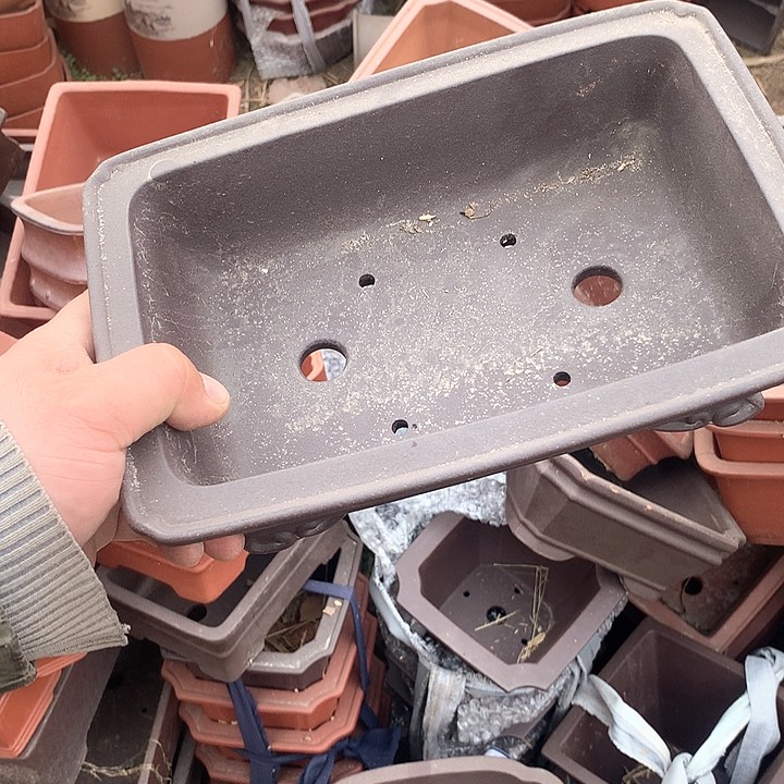 紫砂我要不就是你一