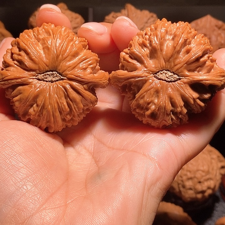 文玩核桃把件用***348白狮子