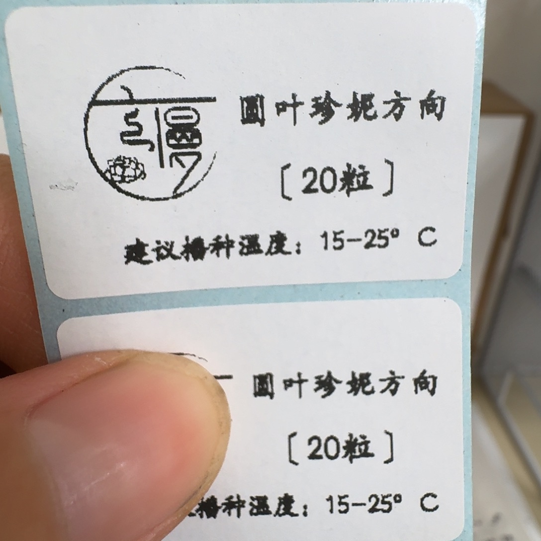 如图2025糖心珍妮系列杂交种子圆叶方向混20粒不包出芽率