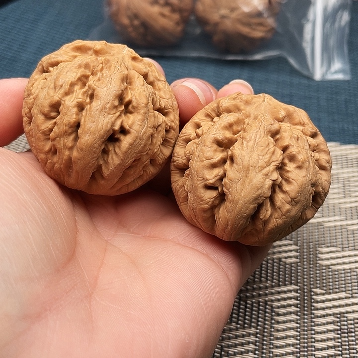 霸王龙文玩核桃42