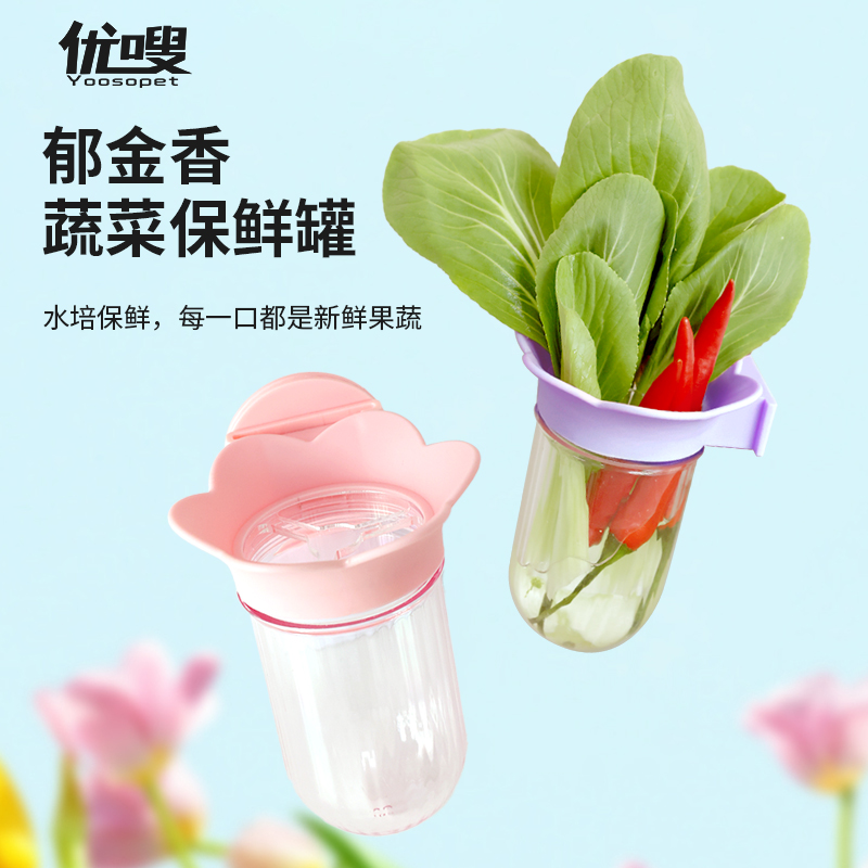 优嗖鹦鹉食盒悬挂式水培瓶蔬菜豆苗保鲜罐玄凤和尚花插蓄水喂食器