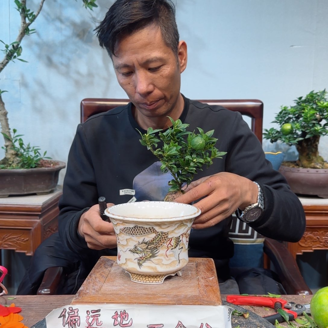 少量花朵（建议范围：2朵-5朵 或40%以下）花***好