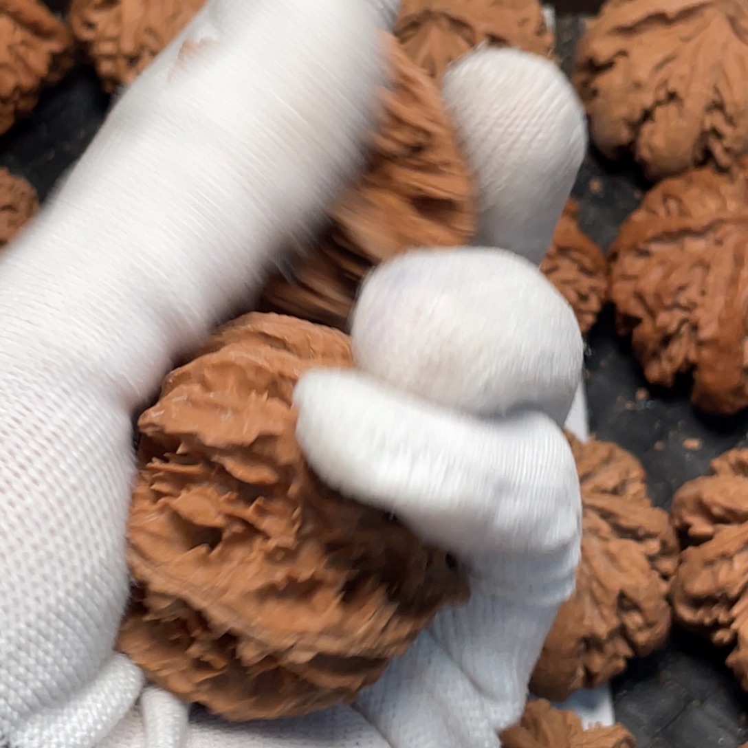 低***秘桃核把件66 秦岭灯笼野生小众