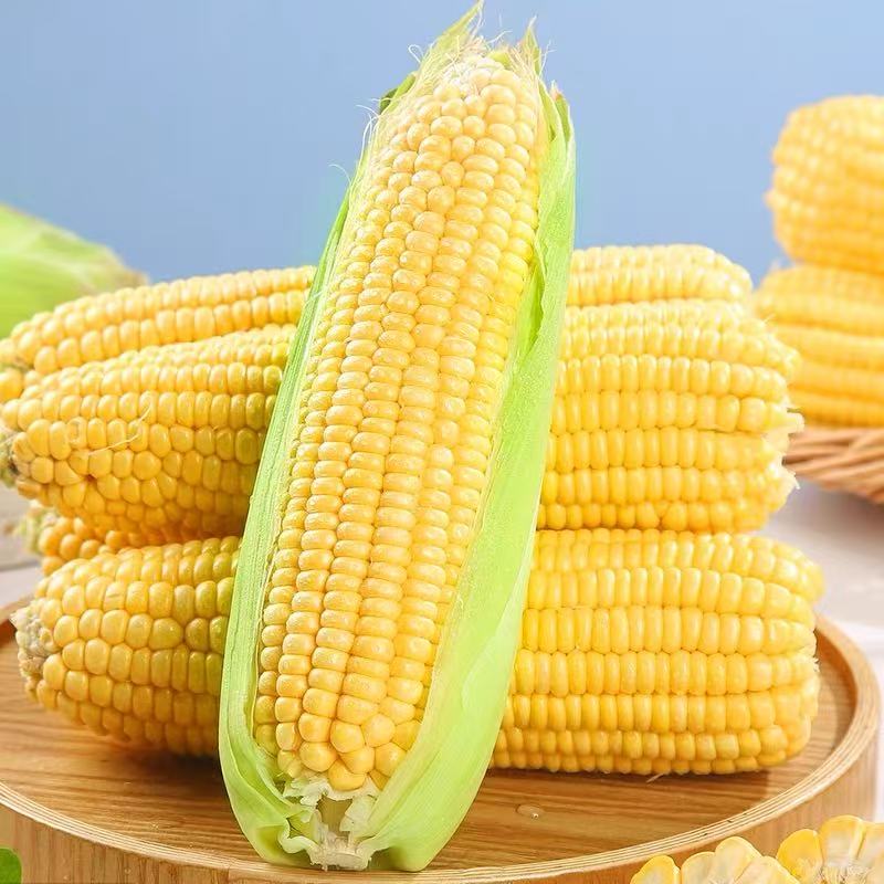 湖北新鲜采摘甜糯玉米带叶带须正宗粗粮代餐