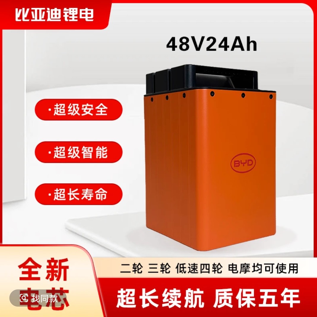 比亚迪48V24AH两轮电动车磷酸铁锂电池配专用充电器