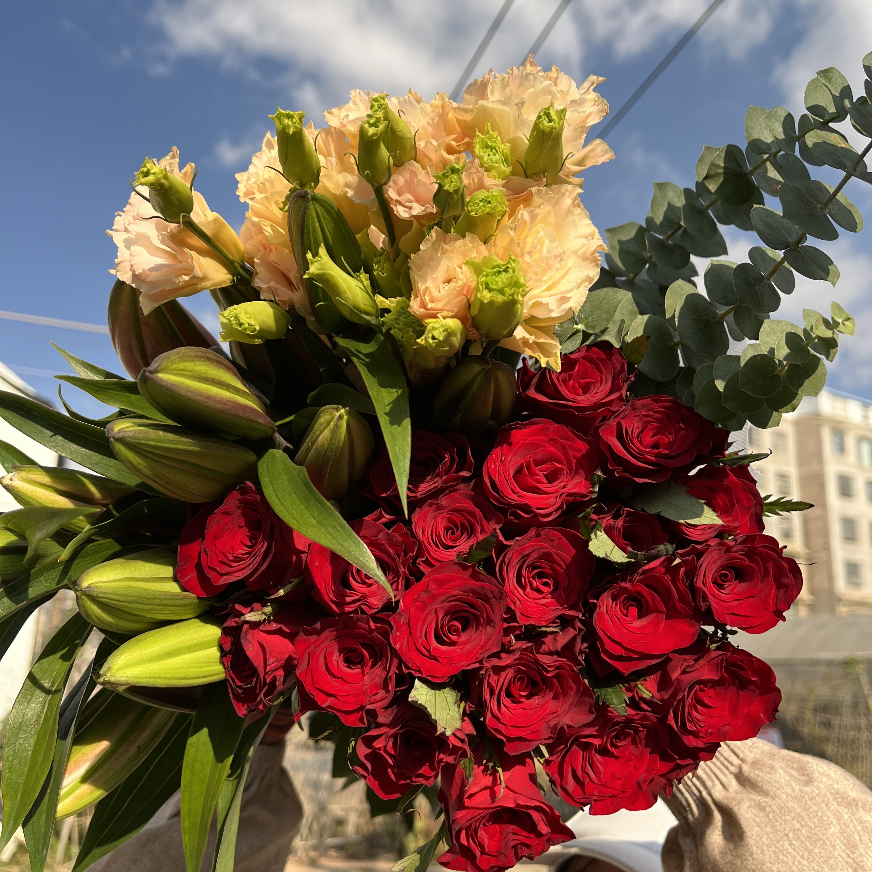 红玫瑰10枝+百合5花苞+洋结梗1扎+配草1扎+营养液
