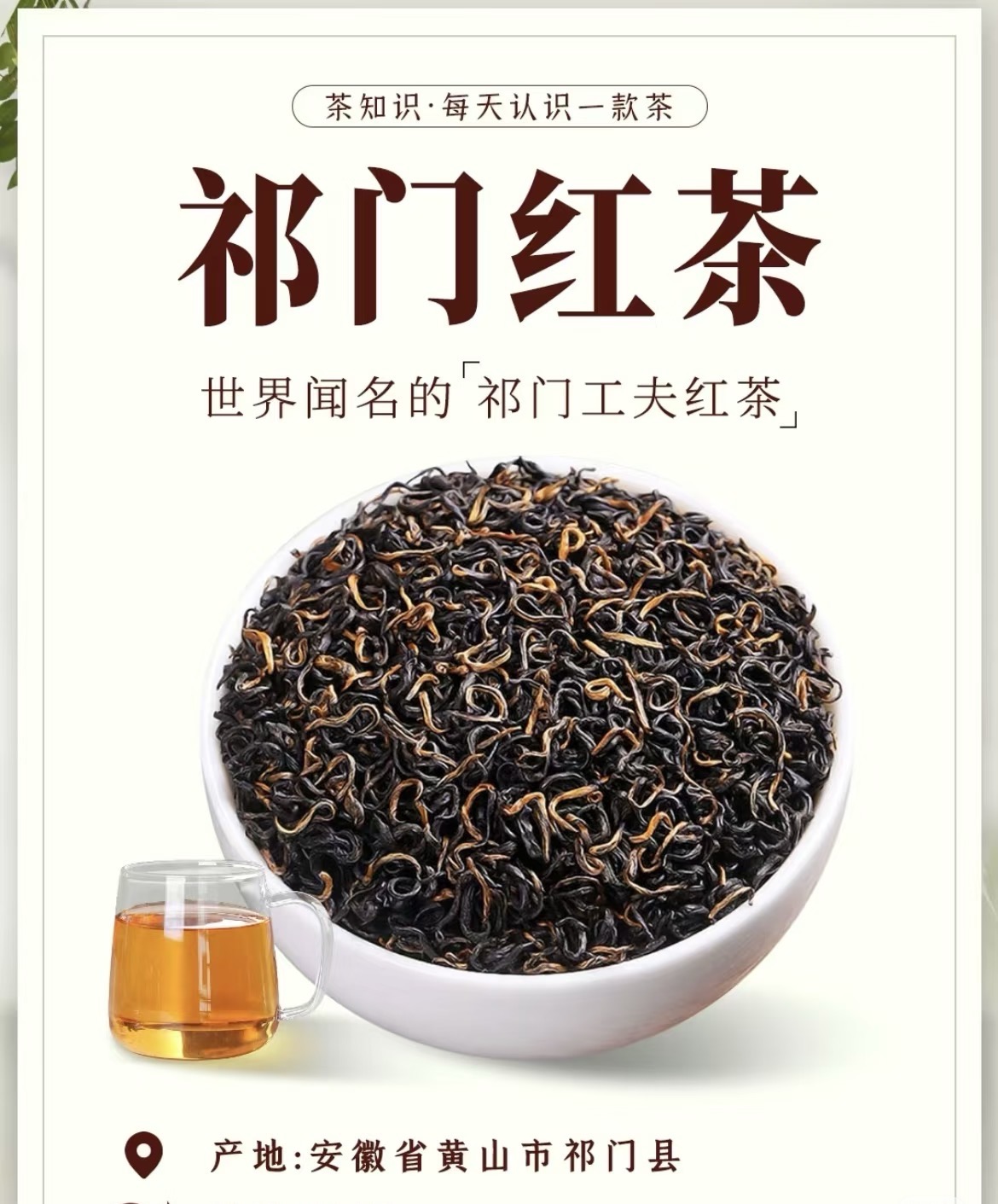 【祁门红茶】 正宗安徽祁门红茶香浓型新茶功夫红茶散茶