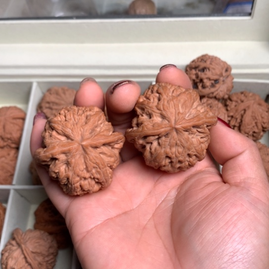 n****n文玩核桃手把件大粗筋