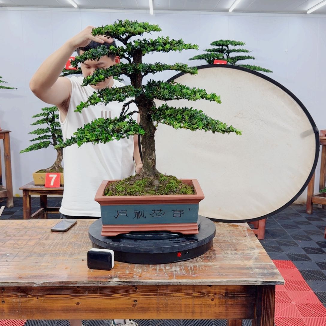 无花朵0000000000000