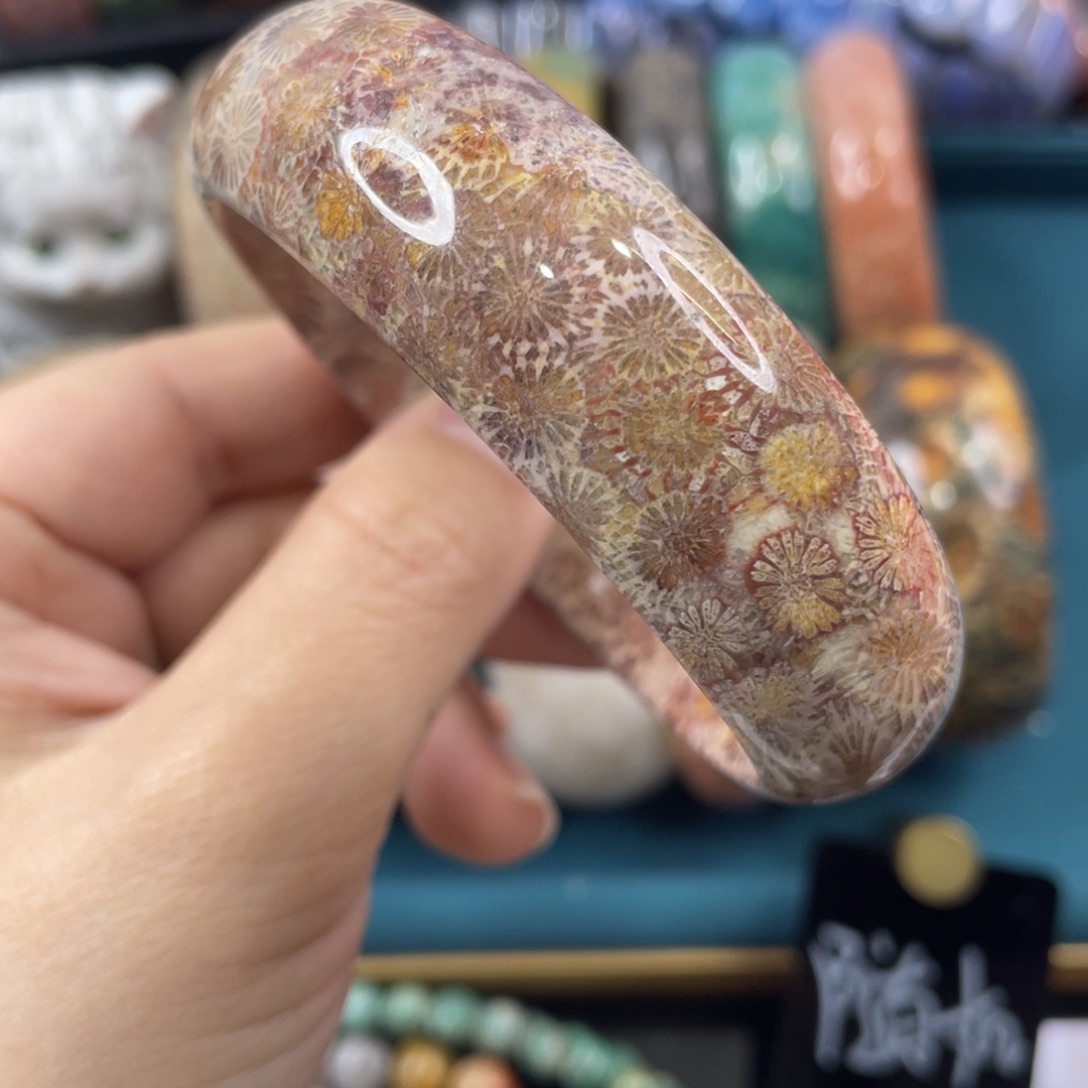 未镶嵌手镯硅化玉