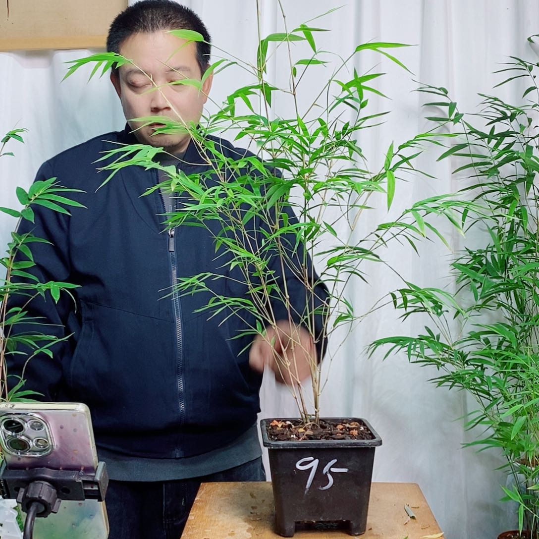 完全开放11111111111111