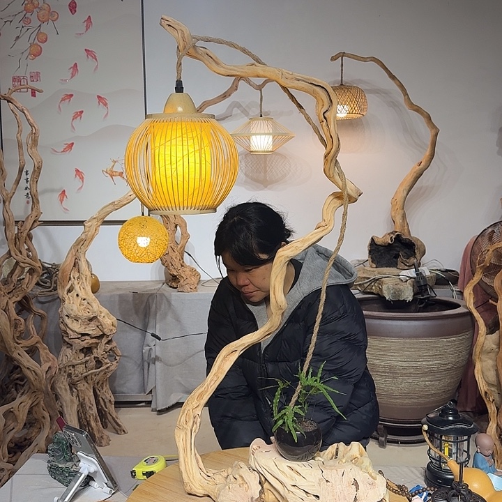 S***y杜鹃根艺术中心根灯