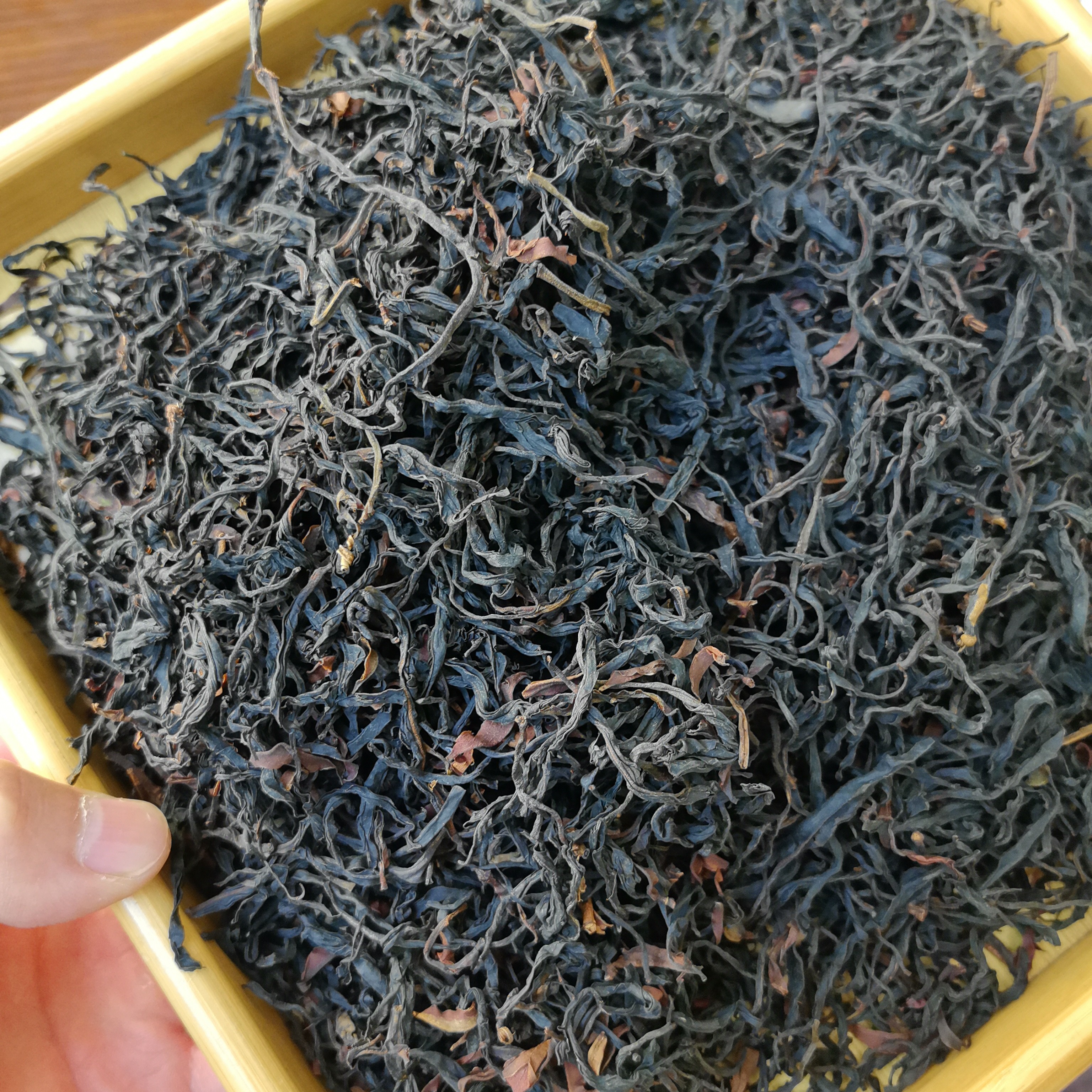 2025大标杆百年野生古树红