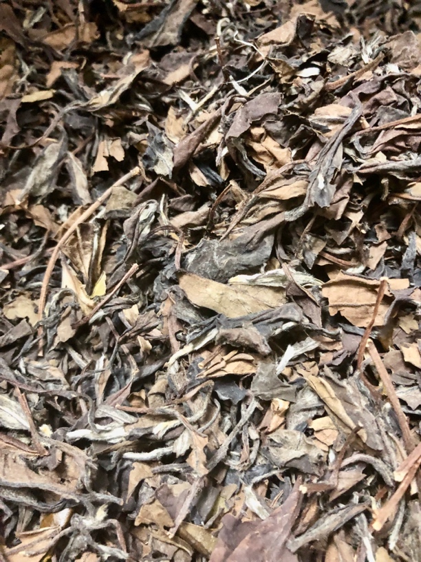 【福鼎白茶】2014年份寿眉野茶花蜜香枣香药香散称白茶