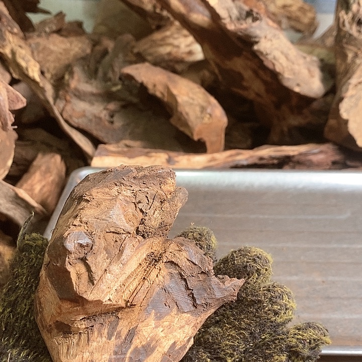 花梨木类刘*胖海南花l