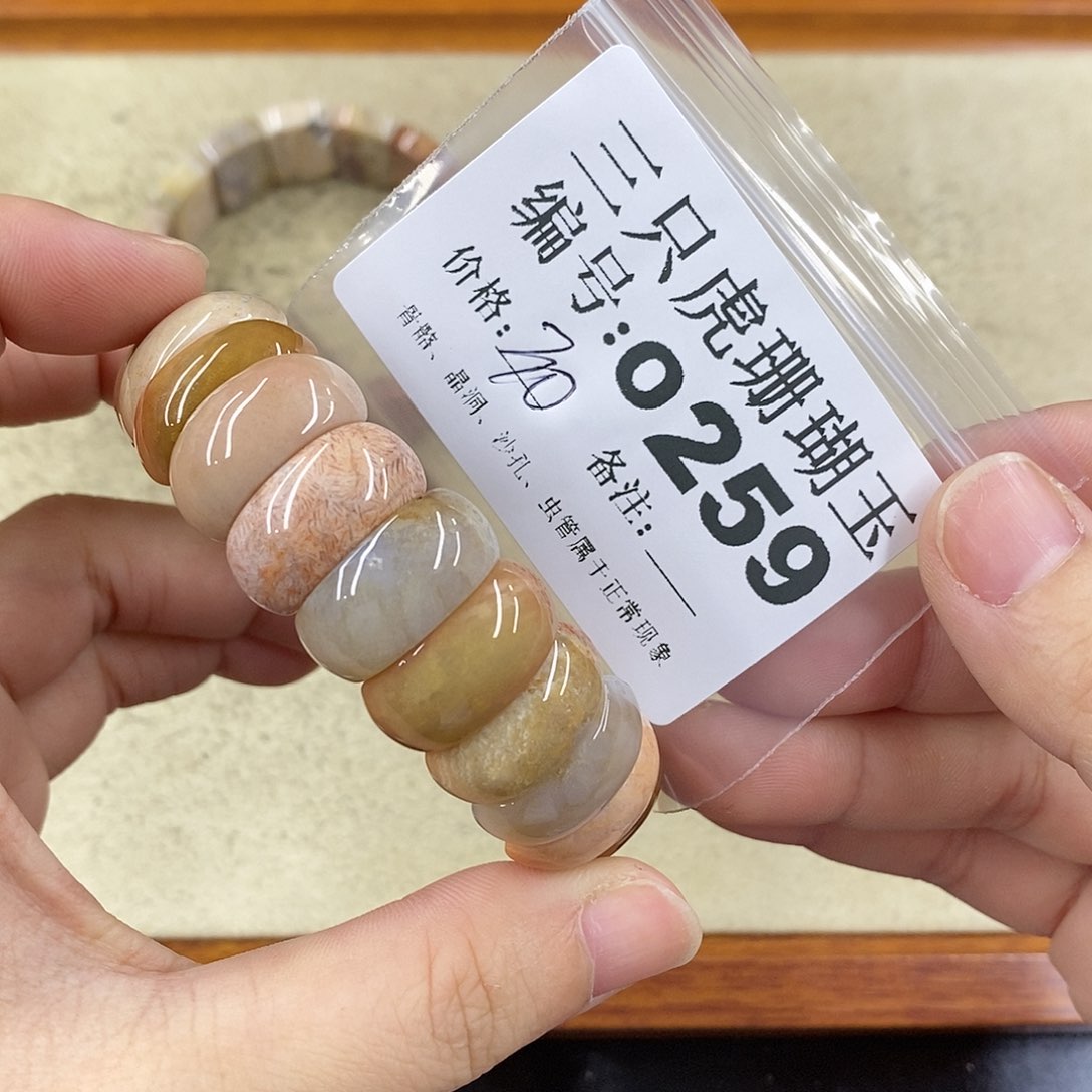 硅化珊瑚（珊瑚玉）1未镶嵌女***娆