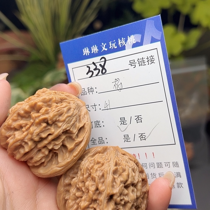 文玩核桃吊坠核桃树338