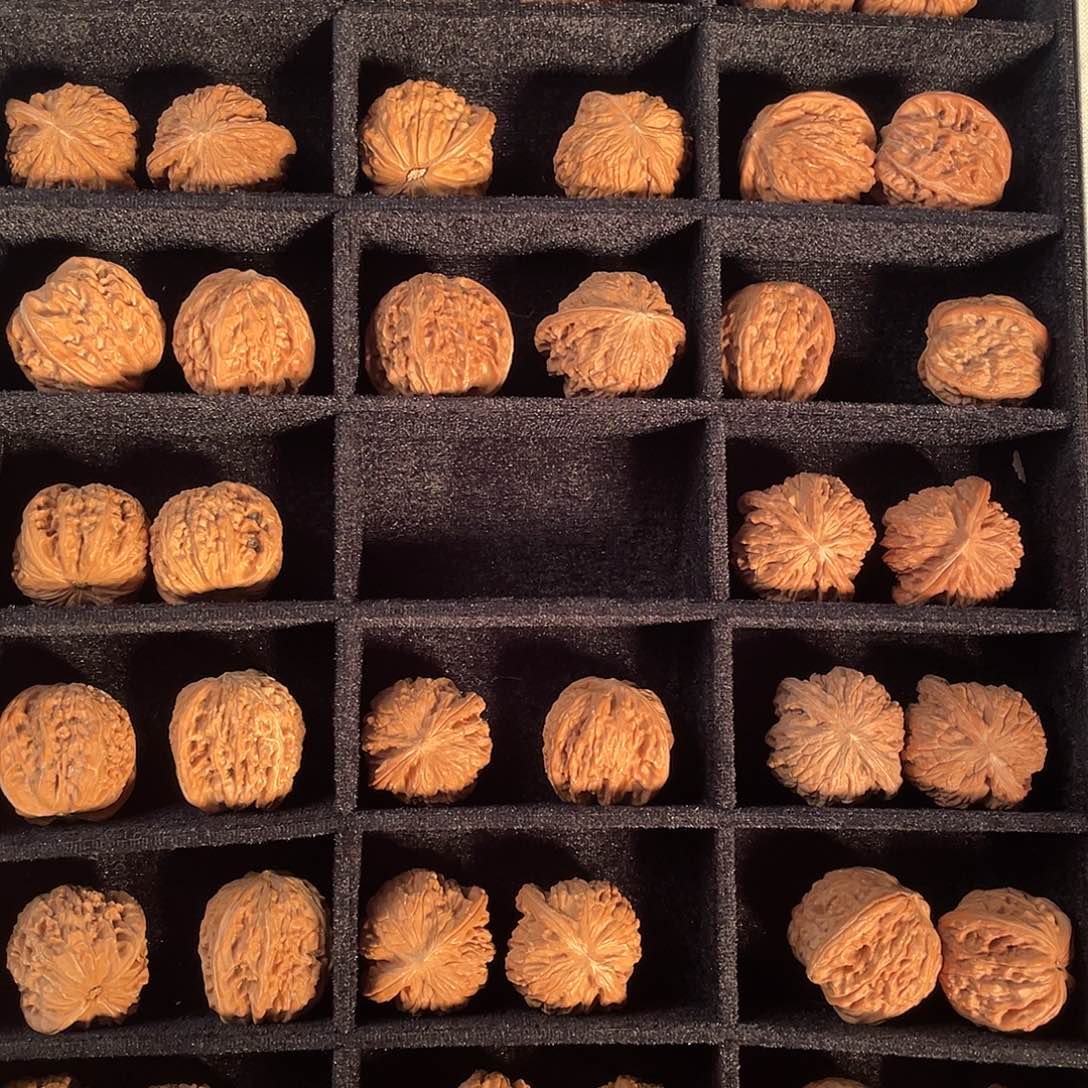 手串/手链核桃磨盘