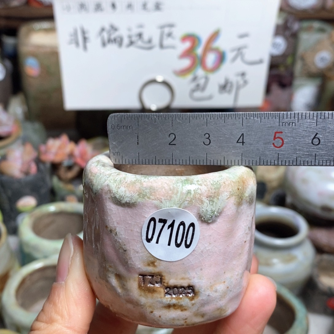 花盆拍3送一个小礼物