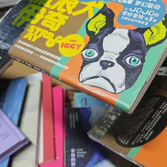 流浪犬伊奇（舞精装塑封）