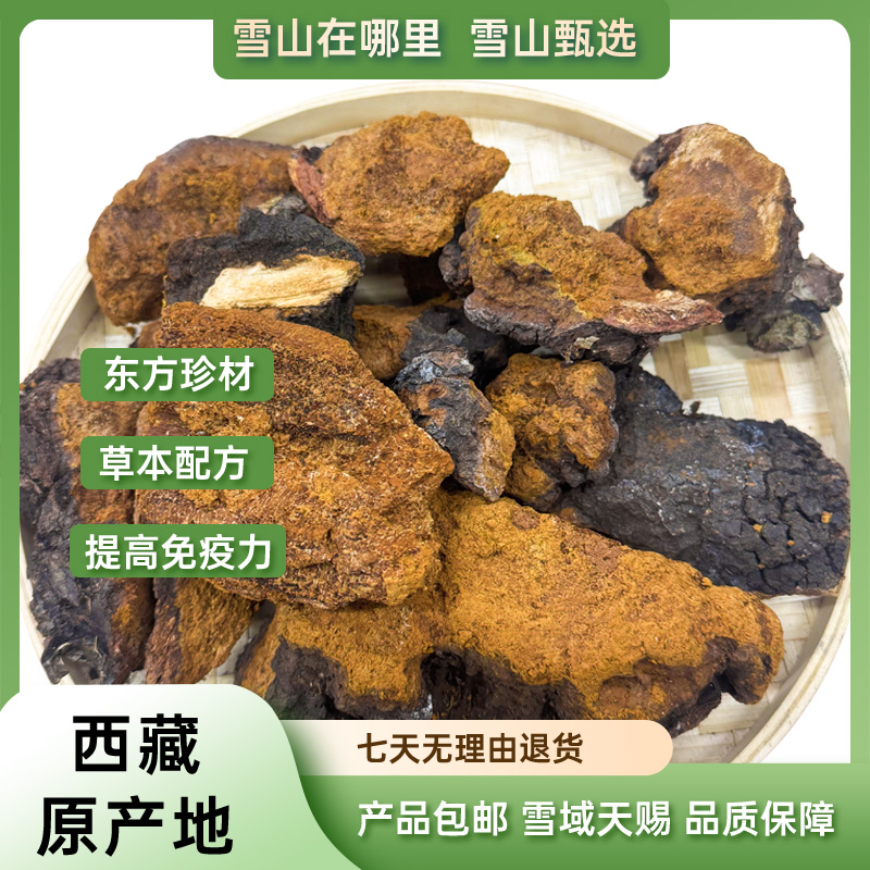 【雪山甄选】 西藏高海拔桦树茸500g/袋 可煮水