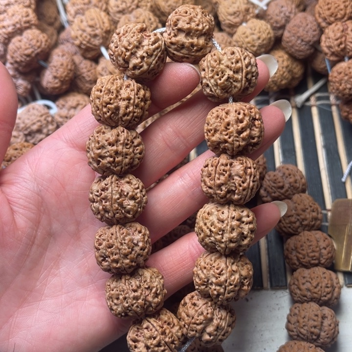 菩提尼泊尔大金刚梁梅花22