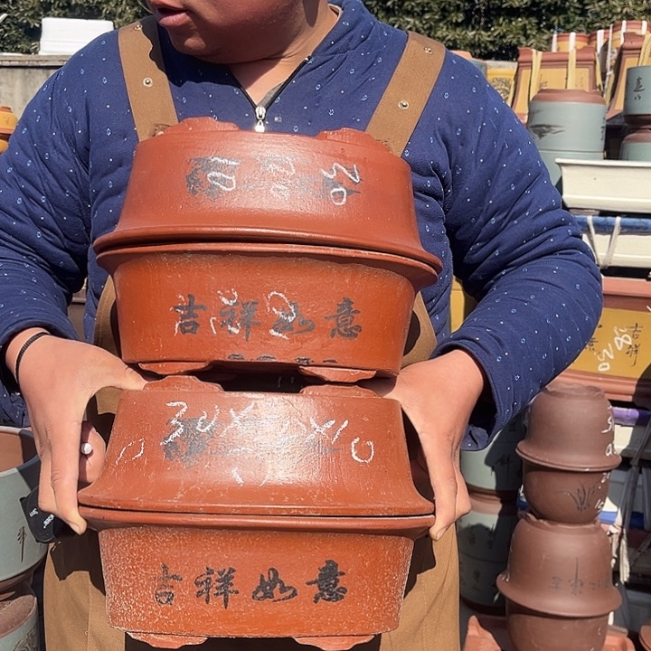 紫砂紫砂花盆盆栽