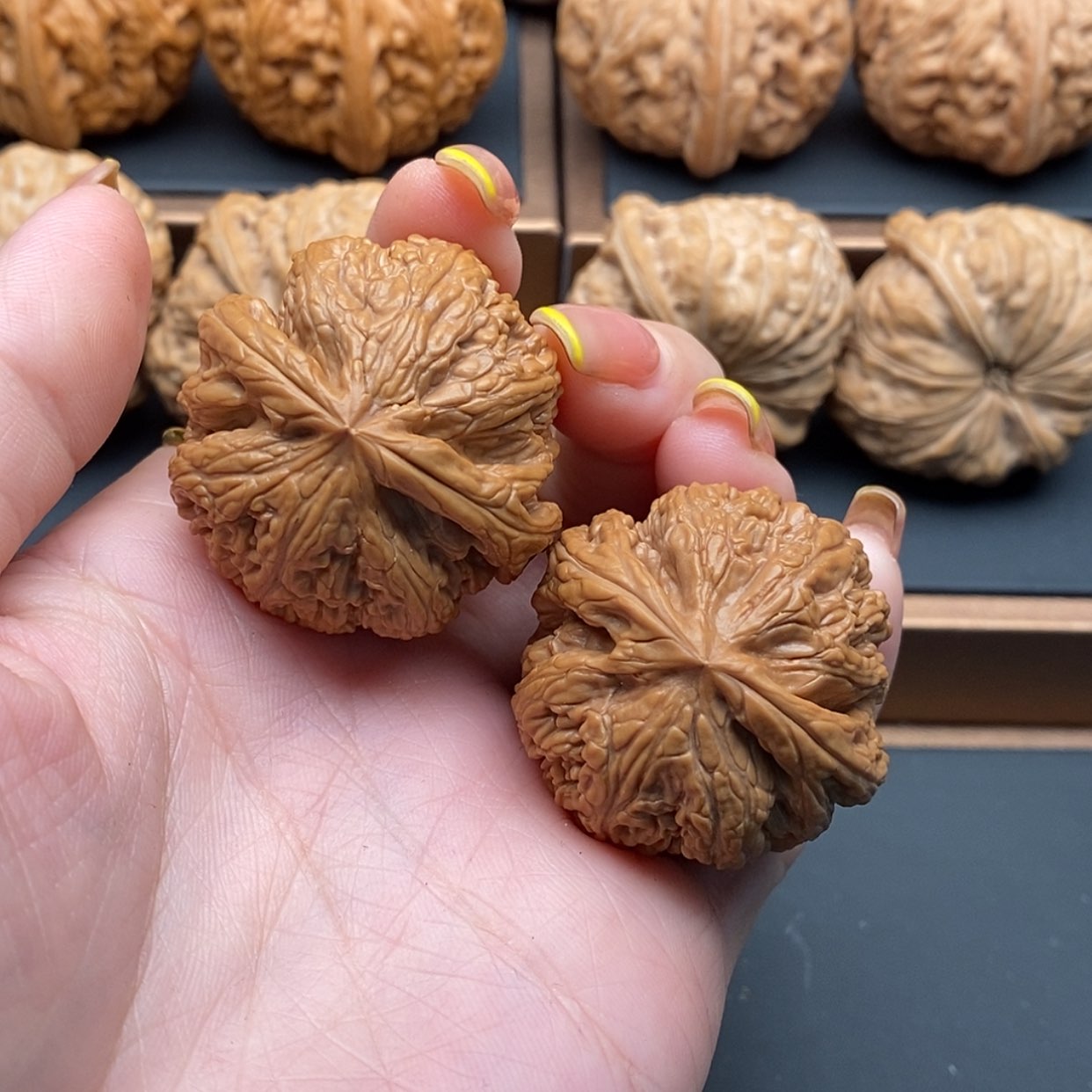 【闪购商品】文玩核桃把件粗筋36边差尺