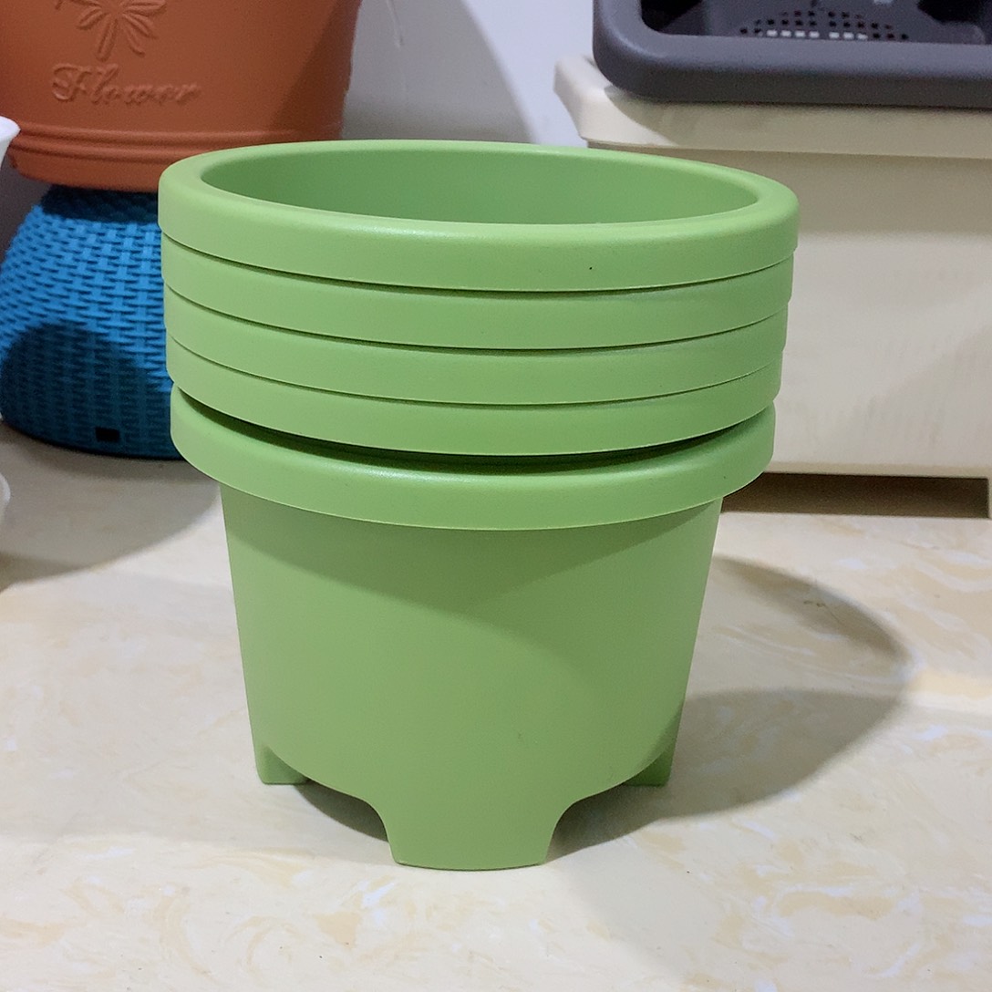 树脂球根口17果绿5个无托