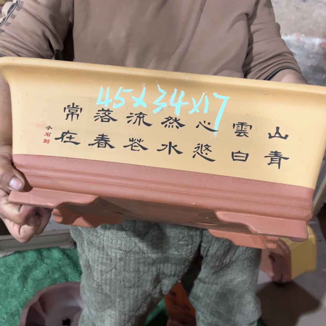 紫砂花盆紫砂花盆