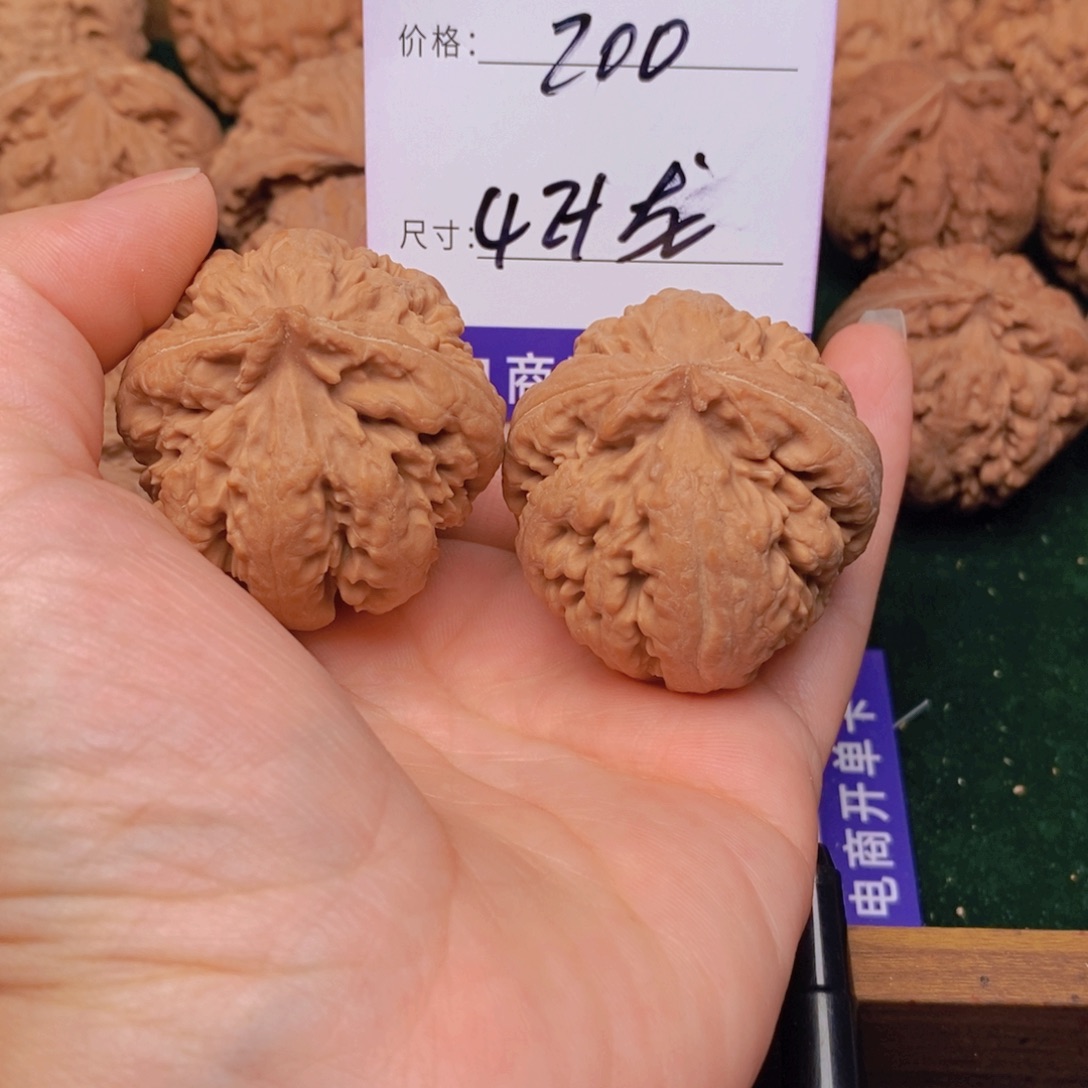 喜***来文玩核桃霸王龙核桃