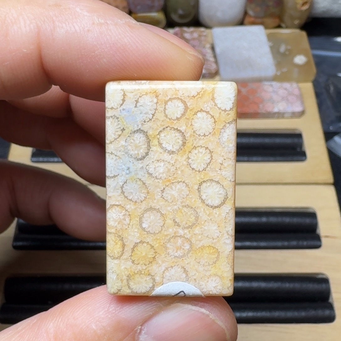 硅化玉纯天然色有机玉石未镶嵌