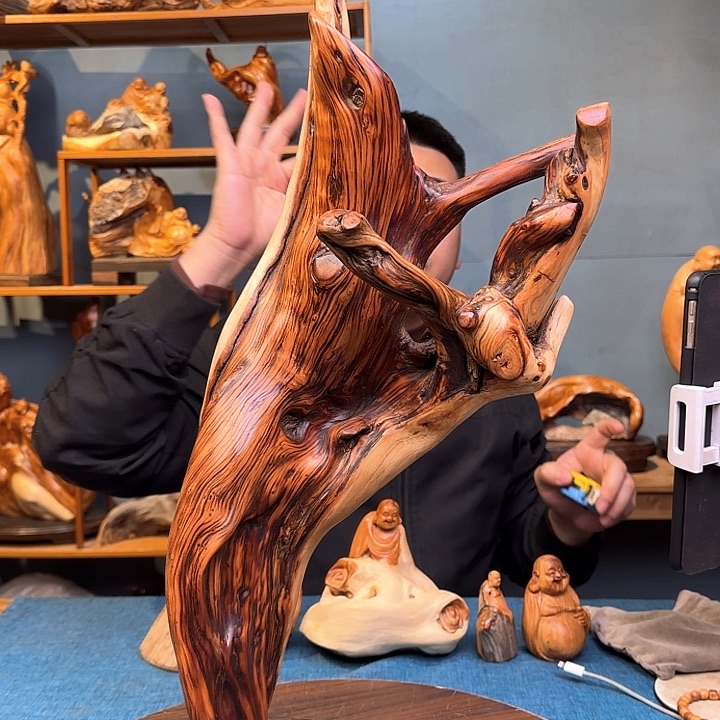 柏木（崖柏）关注一下