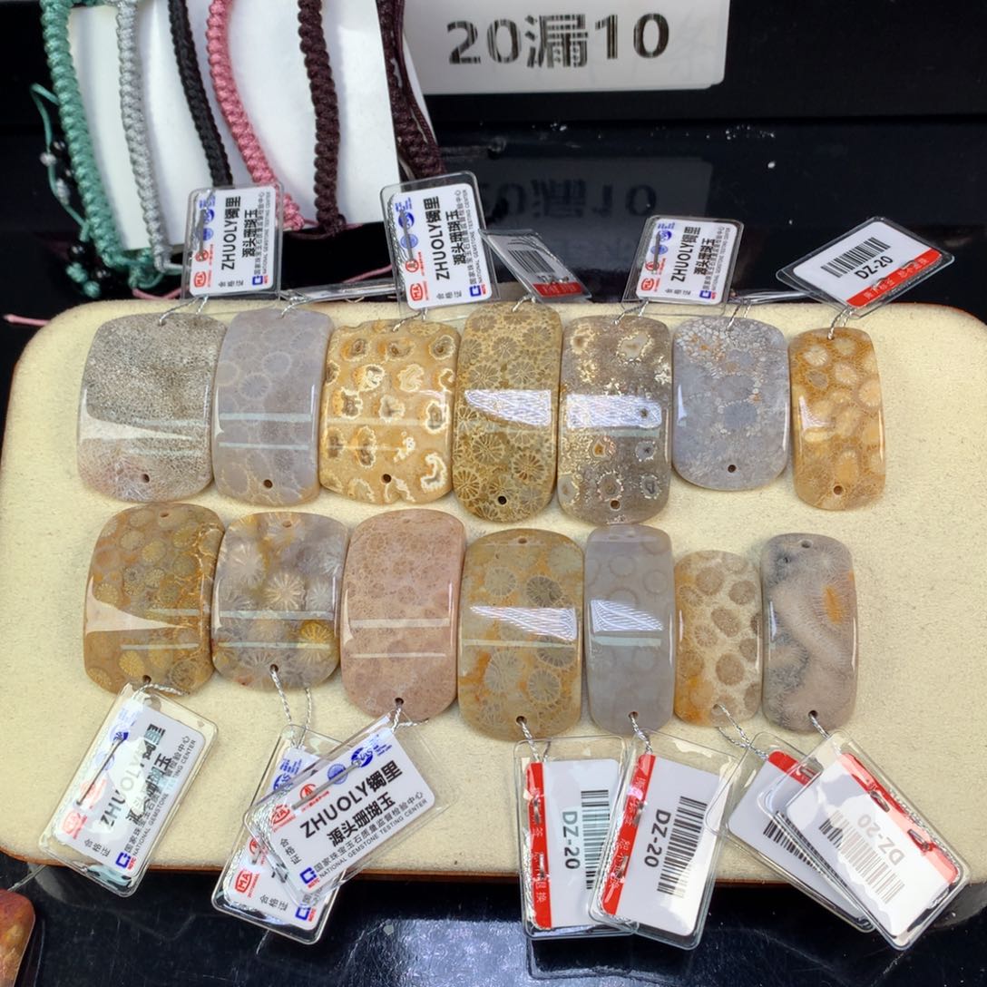 硅化珊瑚（珊瑚玉）未镶嵌吊坠(赠链)10米一个可挑（17号）
