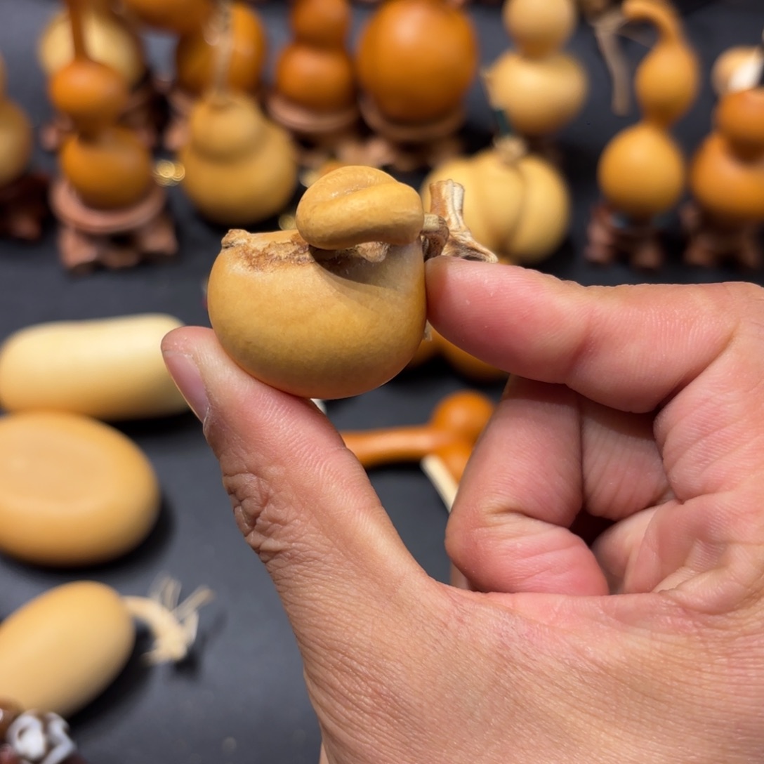 小****6葫芦1111111111111111