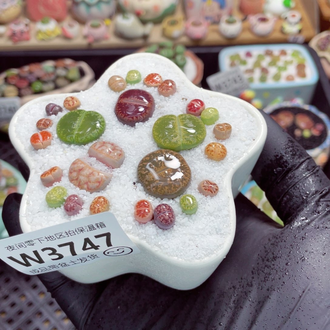 夜间零下地区拍保温箱w3747