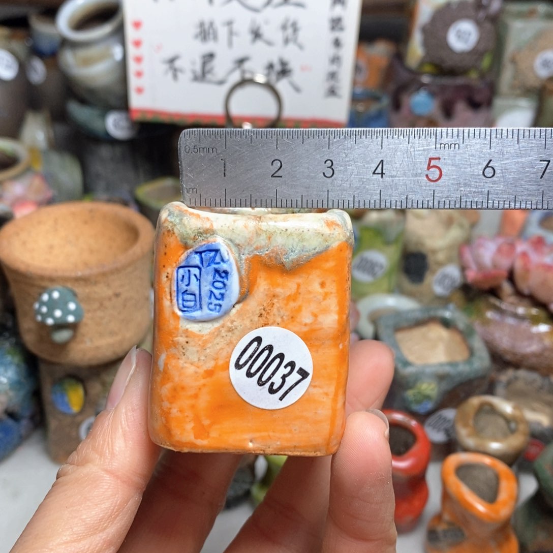 花盆拍3送一个小礼物